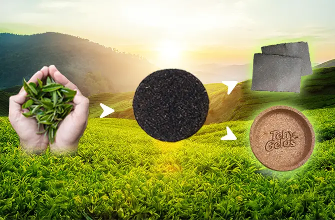 Prioritizing Circular Economy
